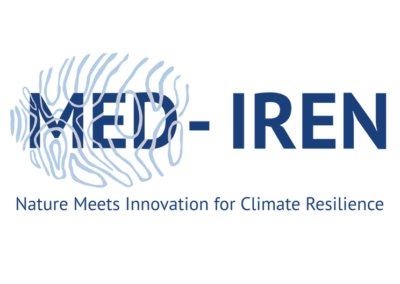 Nature Meets Innovation for Climate Resilience